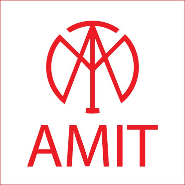 AMIT LOGO